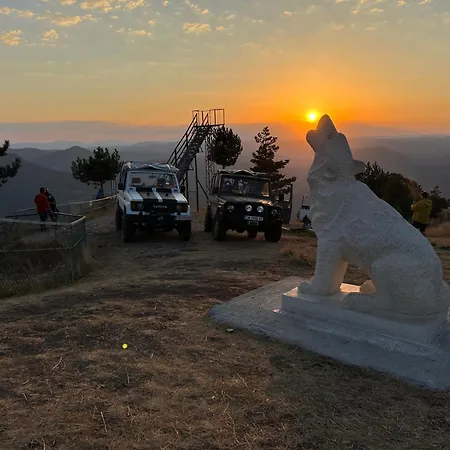 домът на краси *