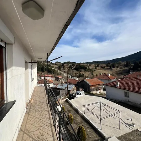 Guest house 