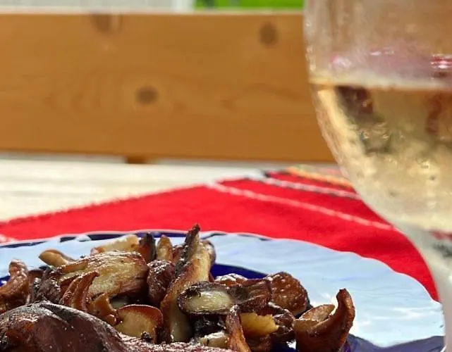 домът на краси Къща за гости Ягодина